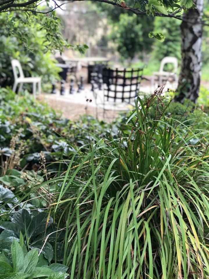 Robin Hoods Well Farm Stay Sassafras Ngoại thất bức ảnh