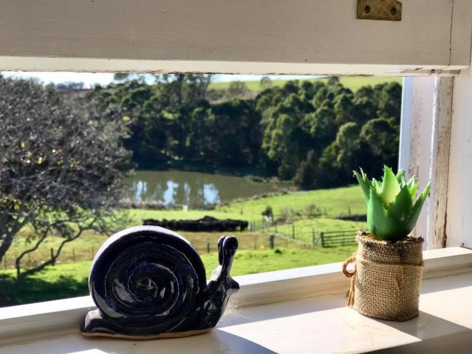 Robin Hoods Well Farm Stay Sassafras Ngoại thất bức ảnh