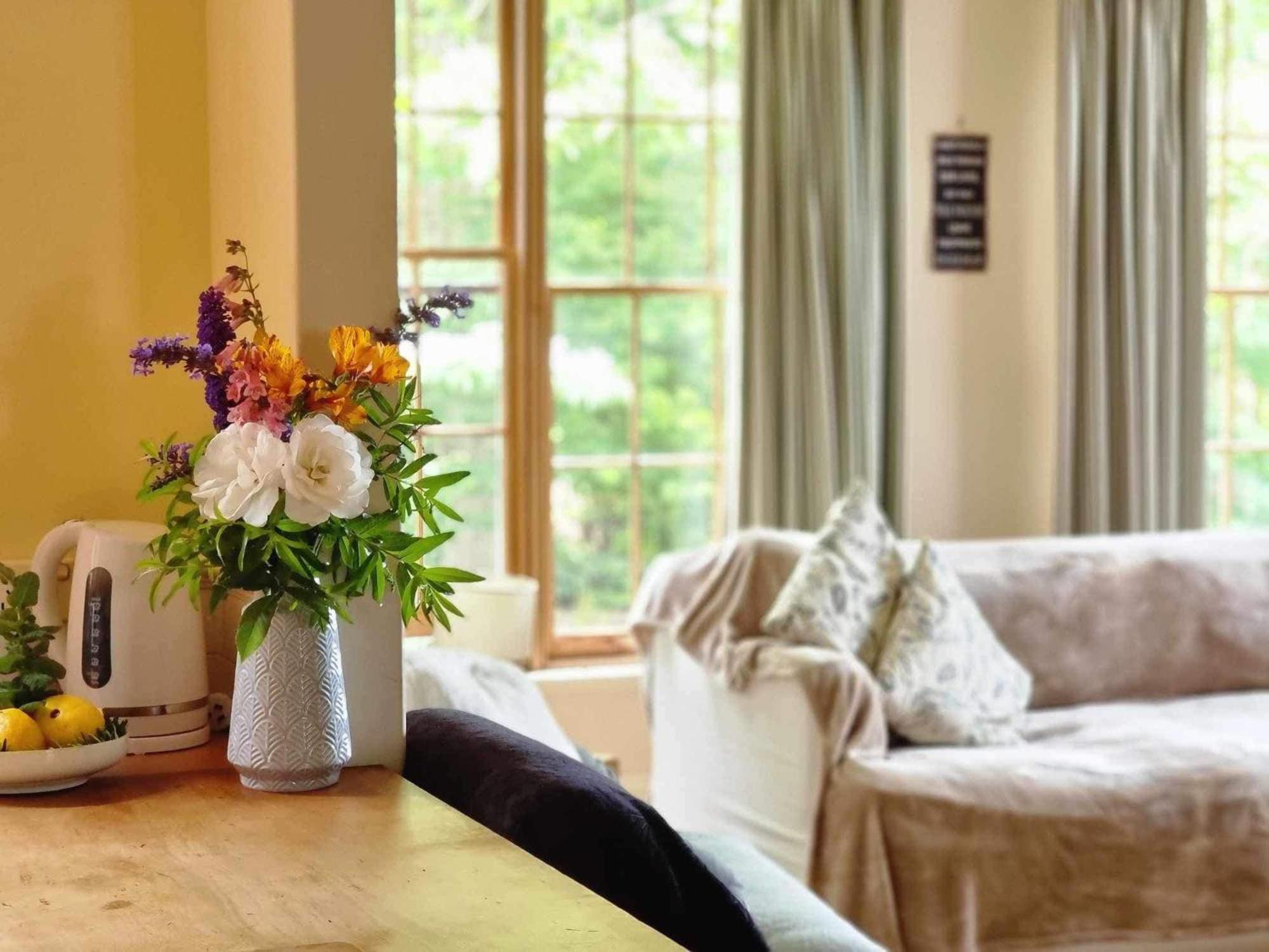 Robin Hoods Well Farm Stay Sassafras Ngoại thất bức ảnh