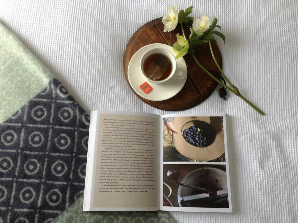 Robin Hoods Well Farm Stay Sassafras Ngoại thất bức ảnh